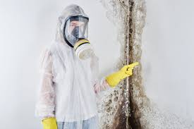 Best Mold Prevention Services in Ivyland, PA